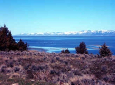 3 Parcels With Frontage On Goose Lake - image 14