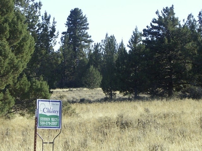 3 Parcels With Frontage On Goose Lake - image 29