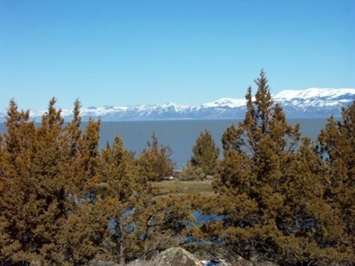 3 Parcels With Frontage On Goose Lake - image 11