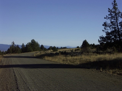 3 Parcels With Frontage On Goose Lake - image 3