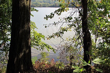 Spectacular Ohio Log Home, 100 Acres, Free Gas & Ogm Rights - image 13