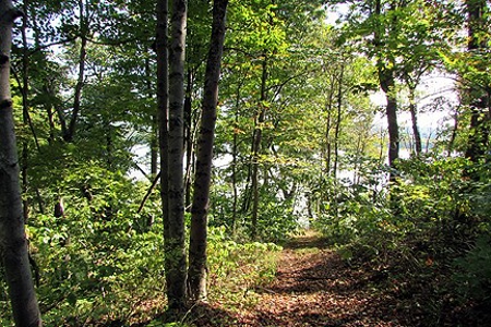 Spectacular Ohio Log Home, 100 Acres, Free Gas & Ogm Rights - image 12