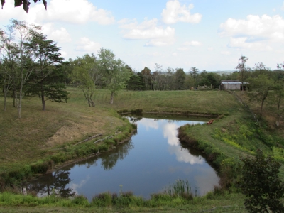 Spectacular Ohio Log Home, 100 Acres, Free Gas & Ogm Rights - image 6
