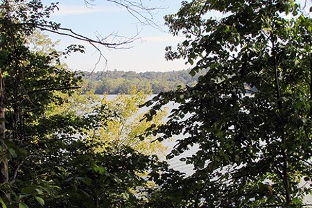 Spectacular Ohio Log Home, 100 Acres, Free Gas & Ogm Rights - image 14