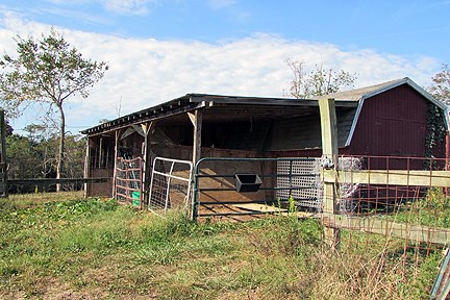 Spectacular Ohio Log Home, 100 Acres, Free Gas & Ogm Rights - image 47