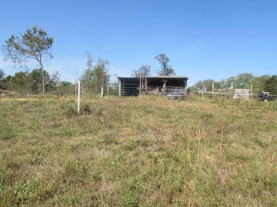 Spectacular Ohio Log Home, 100 Acres, Free Gas & Ogm Rights - image 38