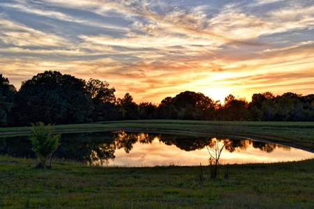 Waterfront Home For Sale in Jackson TN, 40 acres - image 7