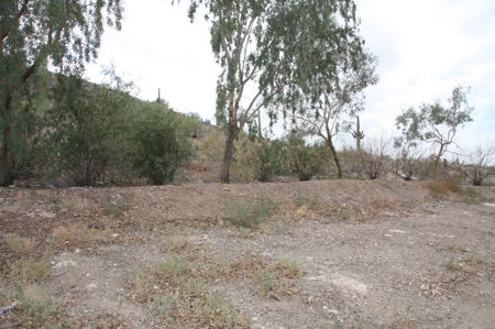 Mountain Home for sale Arizona, horse property for sale AZ - image 19
