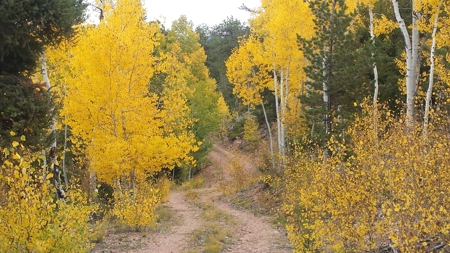 120 Acre Mountain Land for Sale - image 1