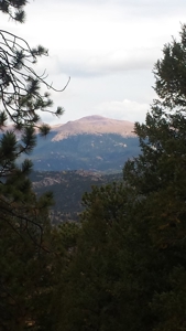 120 Acre Mountain Land for Sale - image 23