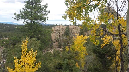 120 Acre Mountain Land for Sale - image 14