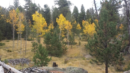 120 Acre Mountain Land for Sale - image 17