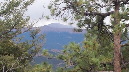 120 Acre Mountain Land for Sale - image 3