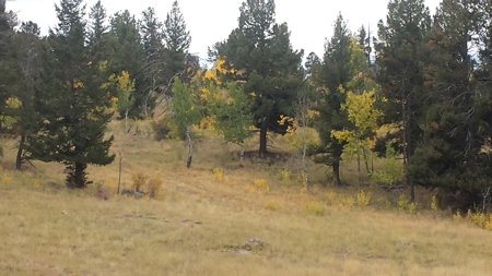 120 Acre Mountain Land for Sale - image 20