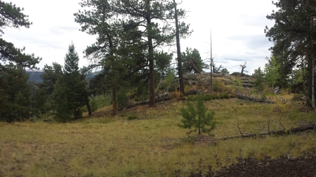 120 Acre Mountain Land for Sale - image 25