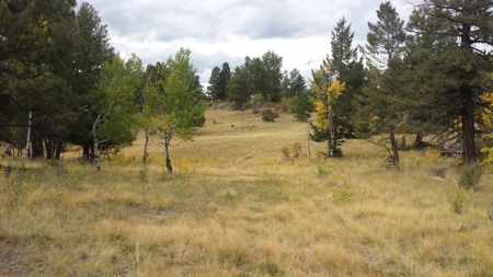 120 Acre Mountain Land for Sale - image 27