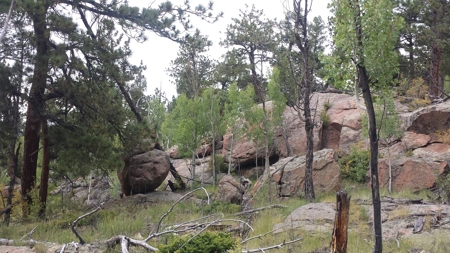 120 Acre Mountain Land for Sale - image 8