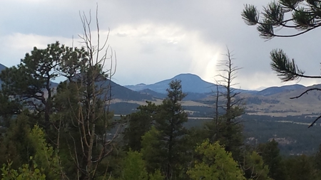 120 Acre Mountain Land for Sale - image 10