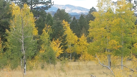 120 Acre Mountain Land for Sale - image 24