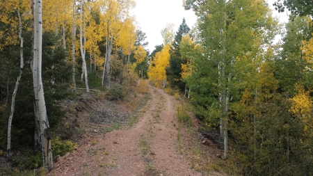 120 Acre Mountain Land for Sale - image 13