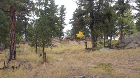 120 Acre Mountain Land for Sale - image 19