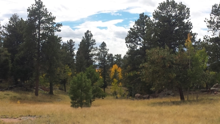 120 Acre Mountain Land for Sale - image 28