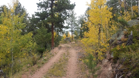 120 Acre Mountain Land for Sale - image 12