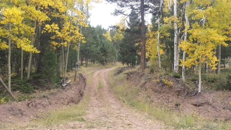 120 Acre Mountain Land for Sale - image 11