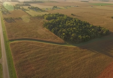 160 Acres +/- Farmland Auction (11/10 @ 6 PM) - image 1