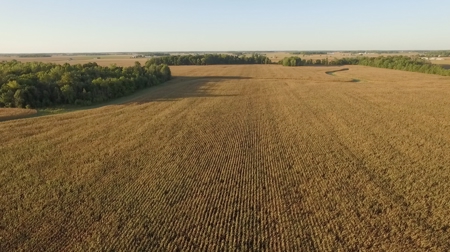 160 Acres +/- Farmland Auction (11/10 @ 6 PM) - image 3