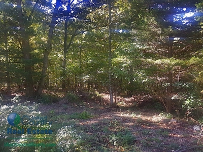 Commercial Land for Sale by iAuction - Lake of the Ozarks - image 22