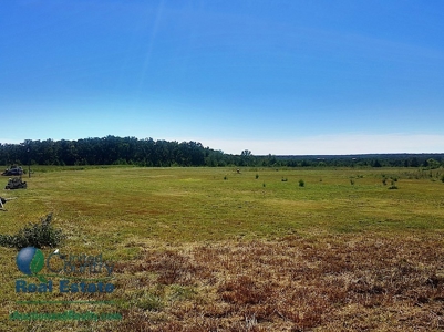 Commercial Land for Sale by iAuction - Lake of the Ozarks - image 9