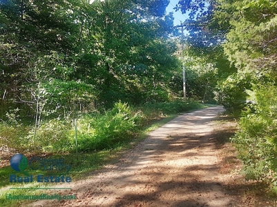 Commercial Land for Sale by iAuction - Lake of the Ozarks - image 23