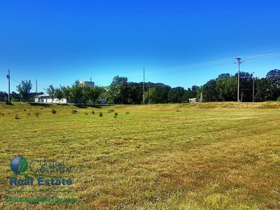 Commercial Land for Sale by iAuction - Lake of the Ozarks - image 10