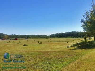 Commercial Land for Sale by iAuction - Lake of the Ozarks - image 6