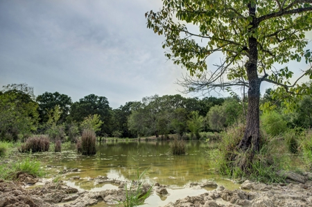 Land for Sale in Madison County, Midway Texas - image 13