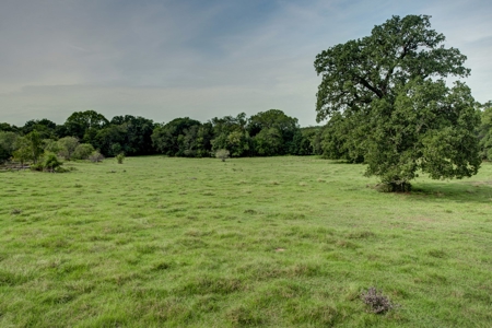 Land for Sale in Madison County, Midway Texas - image 10