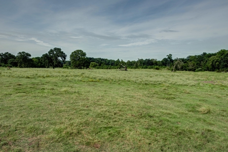 Land for Sale in Madison County, Midway Texas - image 4