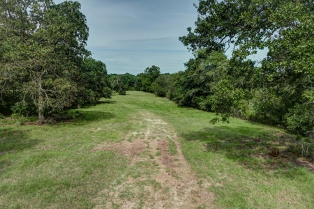 Land for Sale in Madison County, Midway Texas - image 2