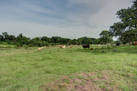 Land for Sale in Madison County, Midway Texas - image 18