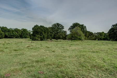 Land for Sale in Madison County, Midway Texas - image 19