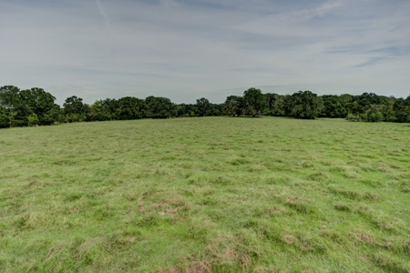 Land for Sale in Madison County, Midway Texas - image 7