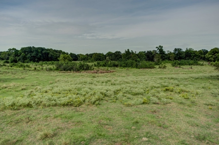 Land for Sale in Madison County, Midway Texas - image 9