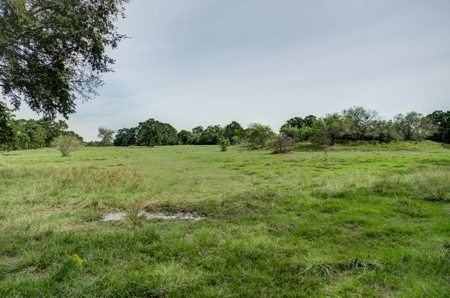 Land for Sale in Madison County, Midway Texas - image 17