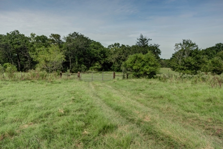 Land for Sale in Madison County, Midway Texas - image 20