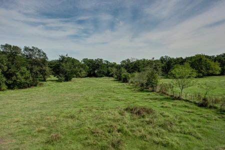 Land for Sale in Madison County, Midway Texas - image 1