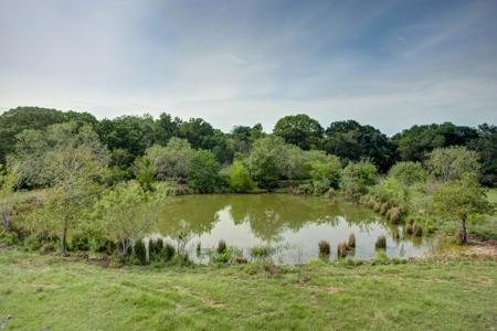 Land for Sale in Madison County, Midway Texas - image 12