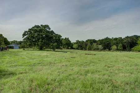 Land for Sale in Madison County, Midway Texas - image 21