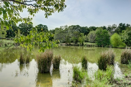 Land for Sale in Madison County, Midway Texas - image 14