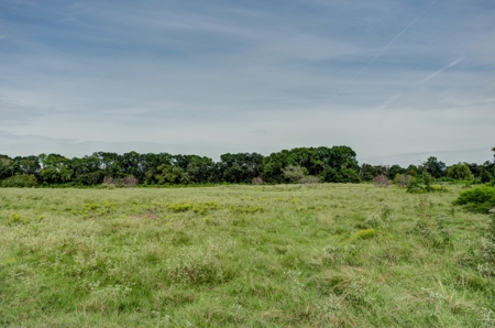 Land for Sale in Madison County, Midway Texas - image 16